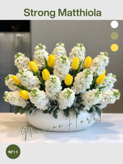 Matthiola Radiante: Energía y Elegancia