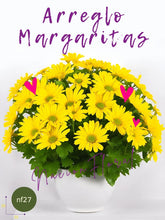 Margaritas para Alegrar el Día