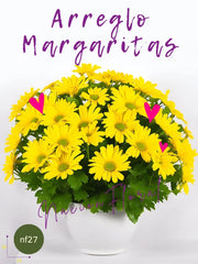 Margaritas para Alegrar el Día