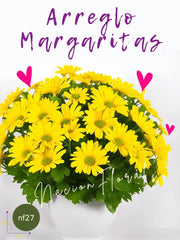 Margaritas para Alegrar el Día