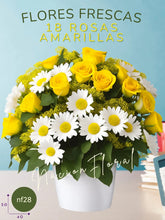 La Rosa Amarilla y el Encanto de la Margarita