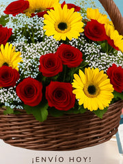 La Pasión del Girasol y la Rosa Roja