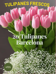 Canasta de Tulipanes: Frescura Romántica