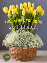 Canasta de Tulipanes: Vibrante Felicidad