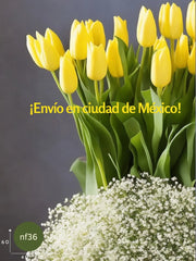 Canasta de Tulipanes: Vibrante Felicidad