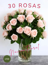 75 Rosas Rosas: Magnífica Alegría