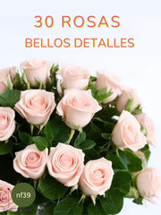 75 Rosas Rosas: Magnífica Alegría