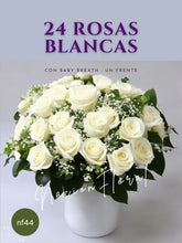 Rosas Blancas: 24 Abrazos de Amor