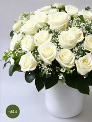 Rosas Blancas: 24 Abrazos de Amor