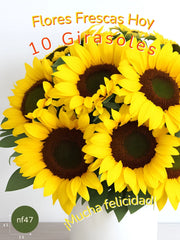 La Girasol: Alegría Pura en Cerámica