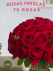 75 Rosas Rojas: Esfera de Pasión