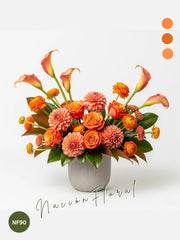 Callas Naranja: Fusión de Alegría Cítrica