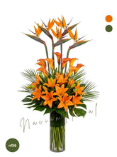 Callas y Lilies: Fuego Naranja