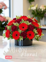 Gerberas Rojas y Claveles Vino - Elegancia