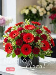 Gerberas Rojas y Claveles Vino - Elegancia