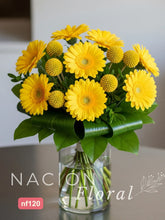 Gerberas Amarillas y Craspedias Solar en Jarrón