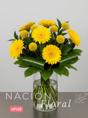 Gerberas Amarillas y Craspedias Solar en Jarrón