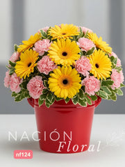 Rosas Y Gerberas - Elegancia Cálida