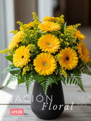 Gerberas Amarillas Contraste Vibrante