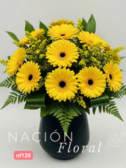 Gerberas Amarillas Contraste Vibrante