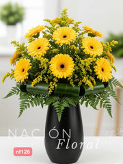 Gerberas Amarillas Contraste Vibrante