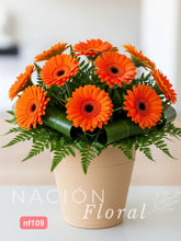 Cubeta con Gerberas