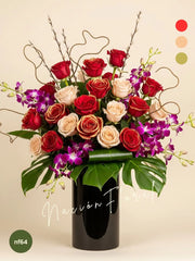 Orquídeas Dendrobium: Lujo y Pasión