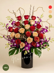 Orquídeas Dendrobium: Lujo y Pasión