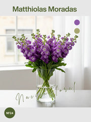 La Matthiola: Encanto Real en Morado