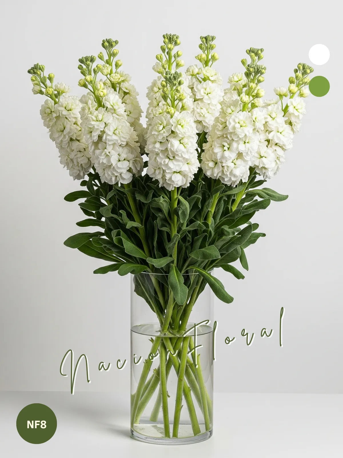 Arreglo Floral: Impulso Blanco