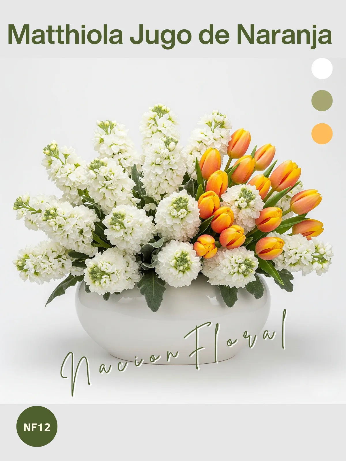 Matthiola: Explosión de Energía Cítrica