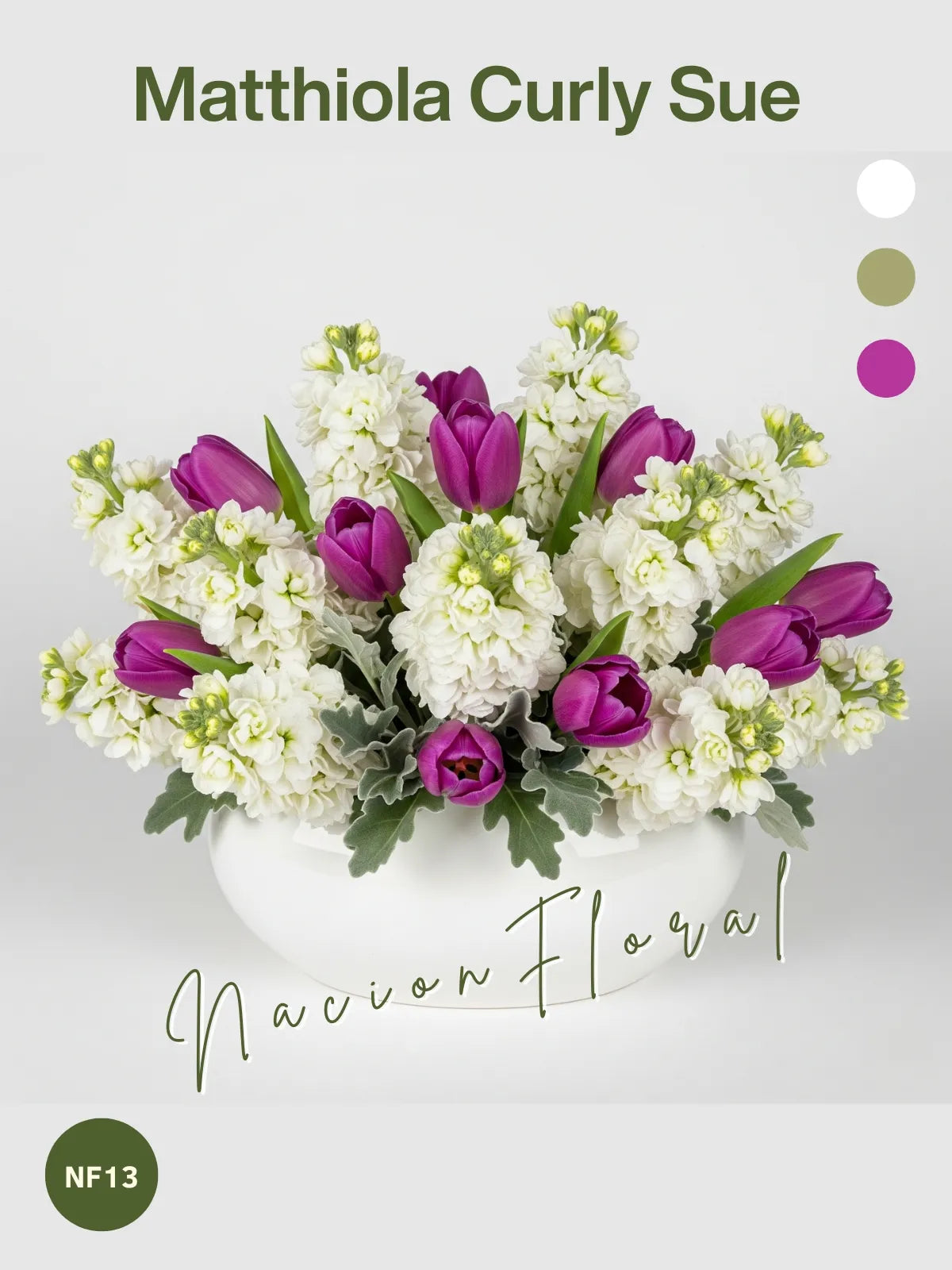 Matthiola Curly Sue: Elegancia Audaz