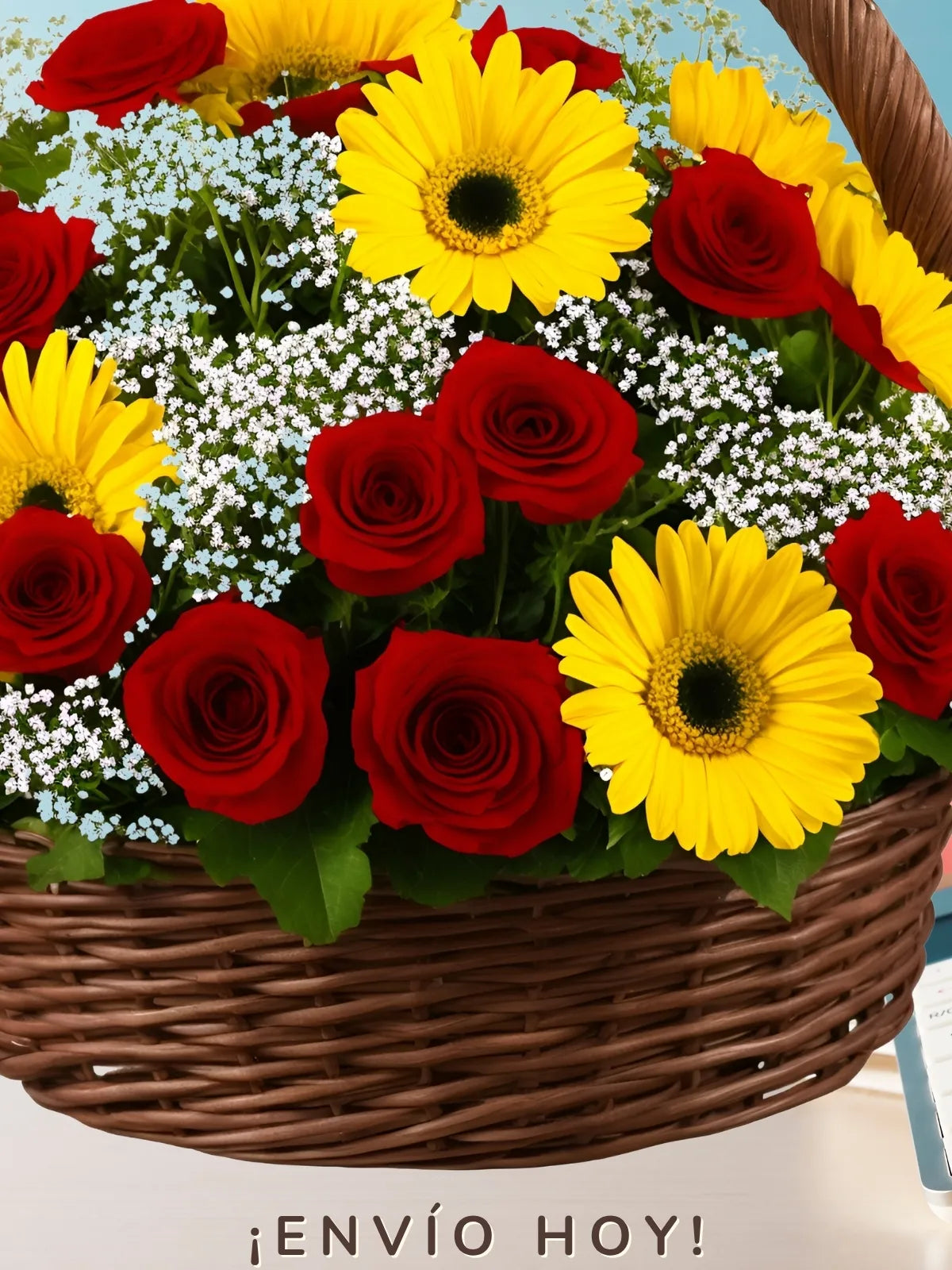 La Pasión del Girasol y la Rosa Roja