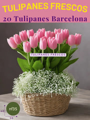 Canasta de Tulipanes: Frescura Romántica