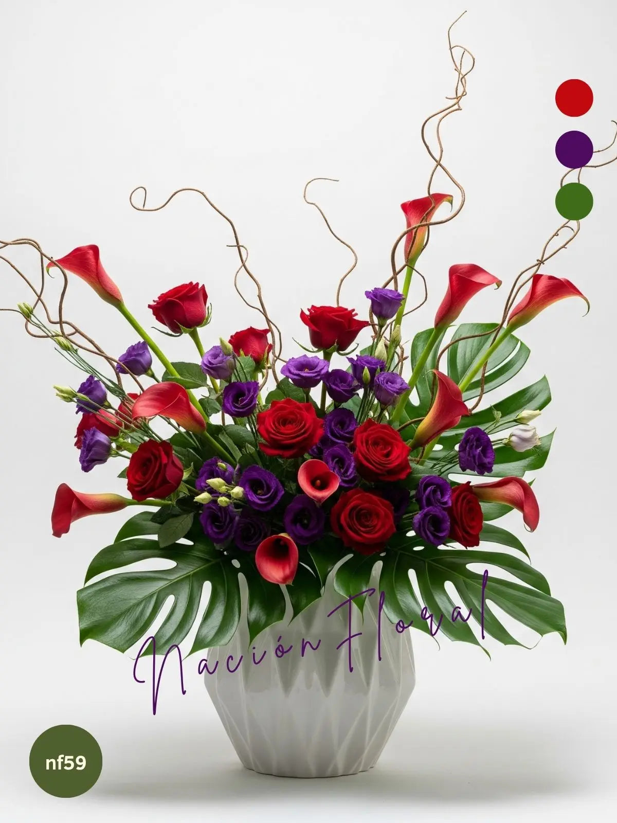 La Rosa Roja: Elegancia Morada y Roja