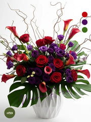 La Rosa Roja: Elegancia Morada y Roja