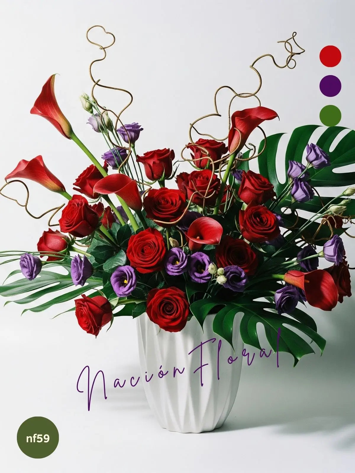 La Rosa Roja: Elegancia Morada y Roja