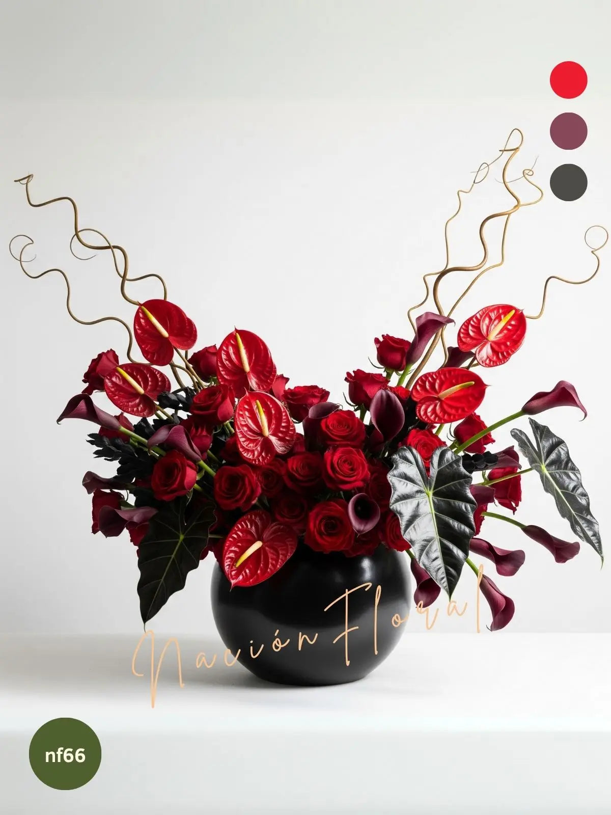 La Rosa Roja: Amor Audaz y Sofisticado