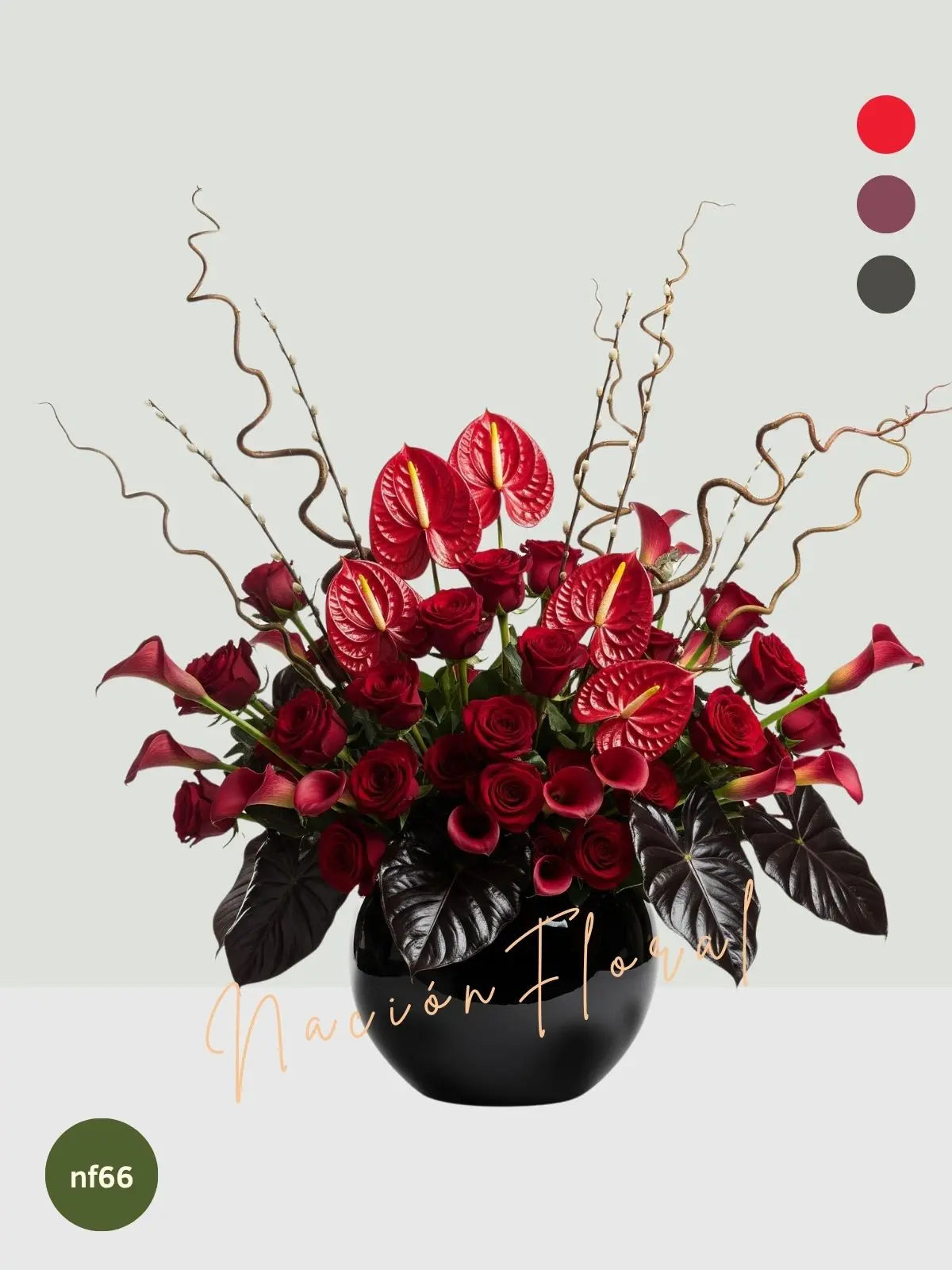 La Rosa Roja: Amor Audaz y Sofisticado