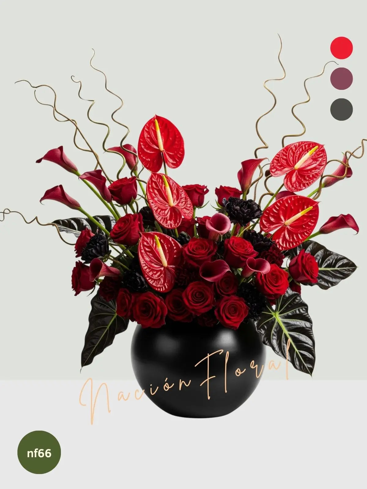 La Rosa Roja: Amor Audaz y Sofisticado