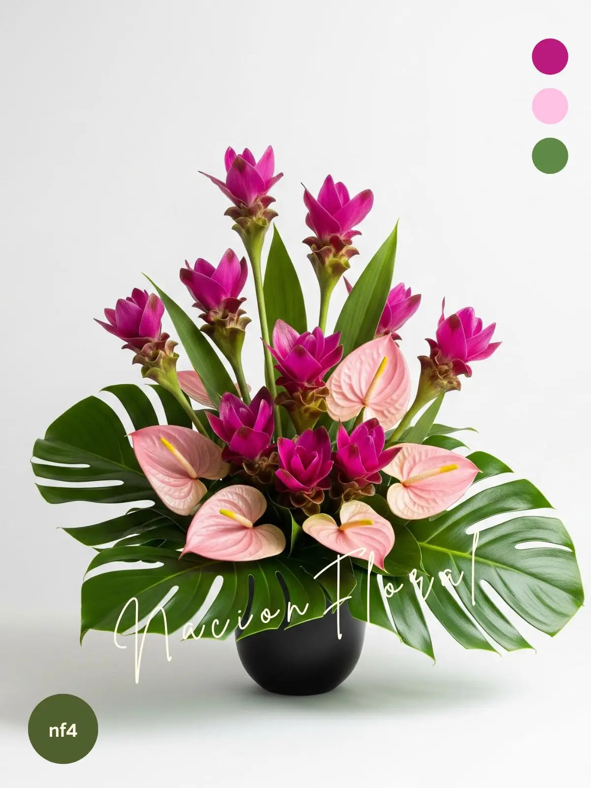 Gran encanto curcuma con anturios