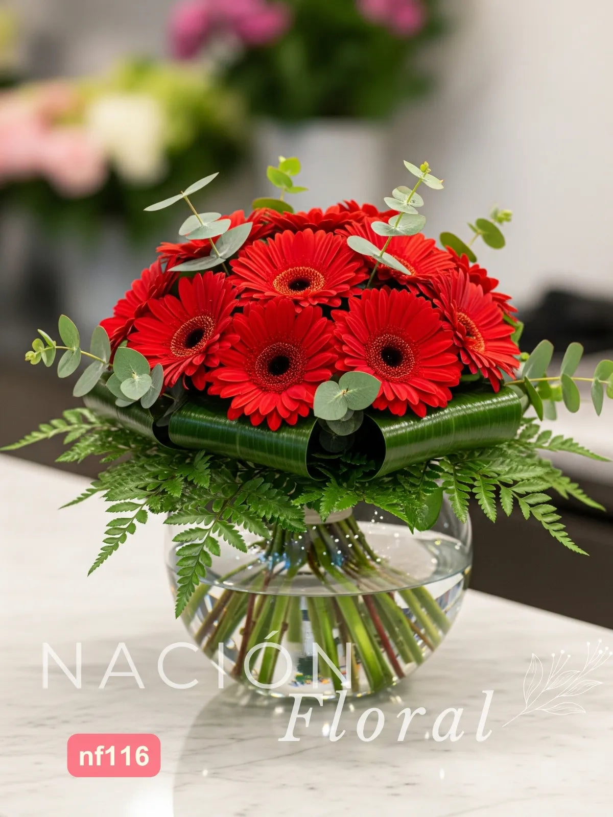 Gerberas Rojas en Esfera de Vidrio - Elegancia Minimalista