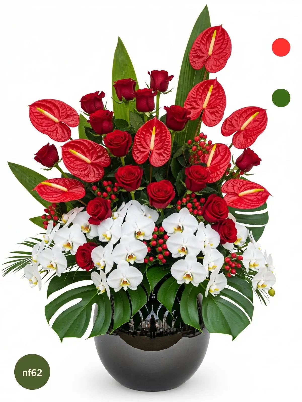 Rosas y Orquídeas: Pasión Exótica