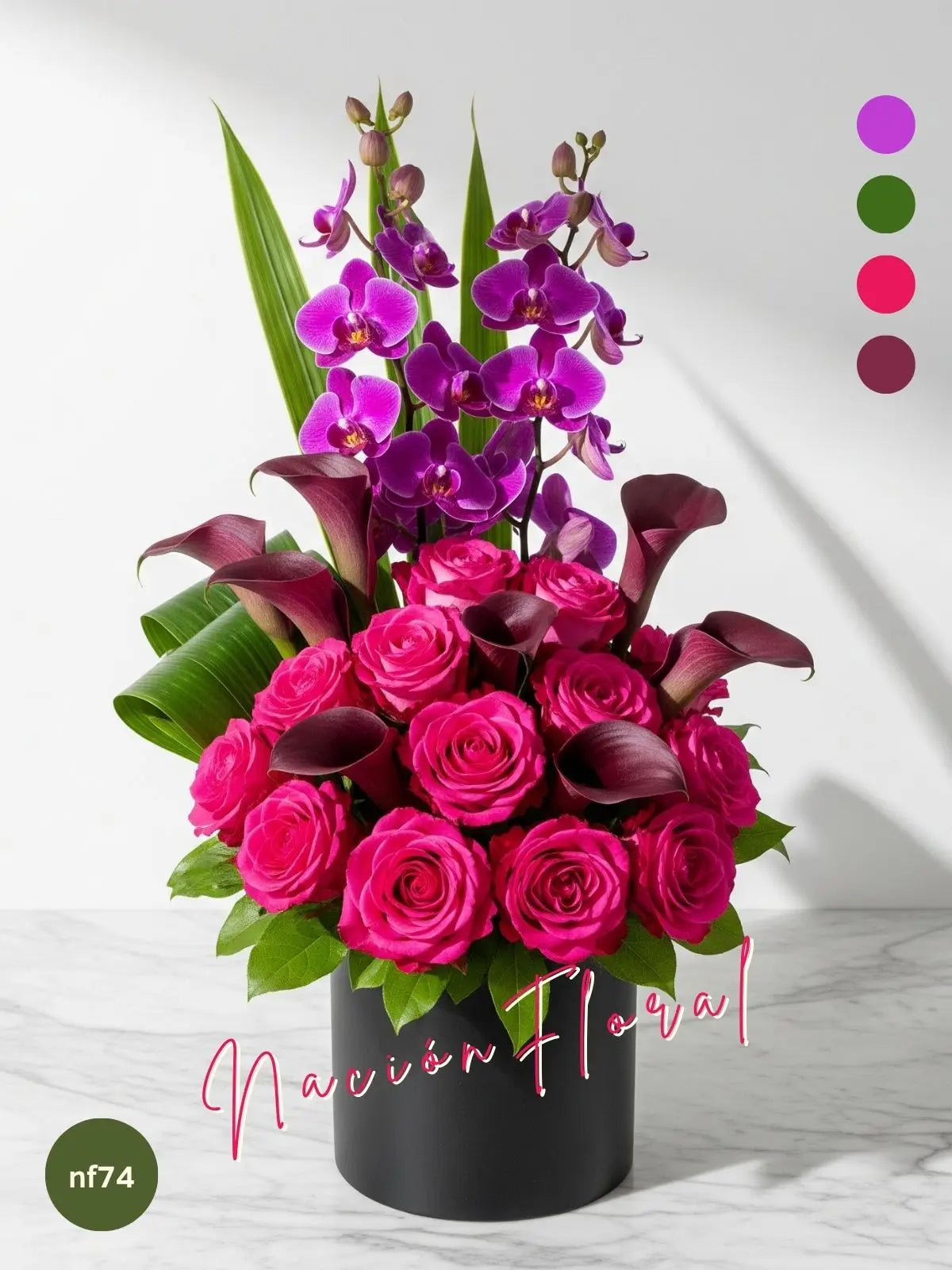 Rosas Fucsia y Orquídeas: Pasión Violeta