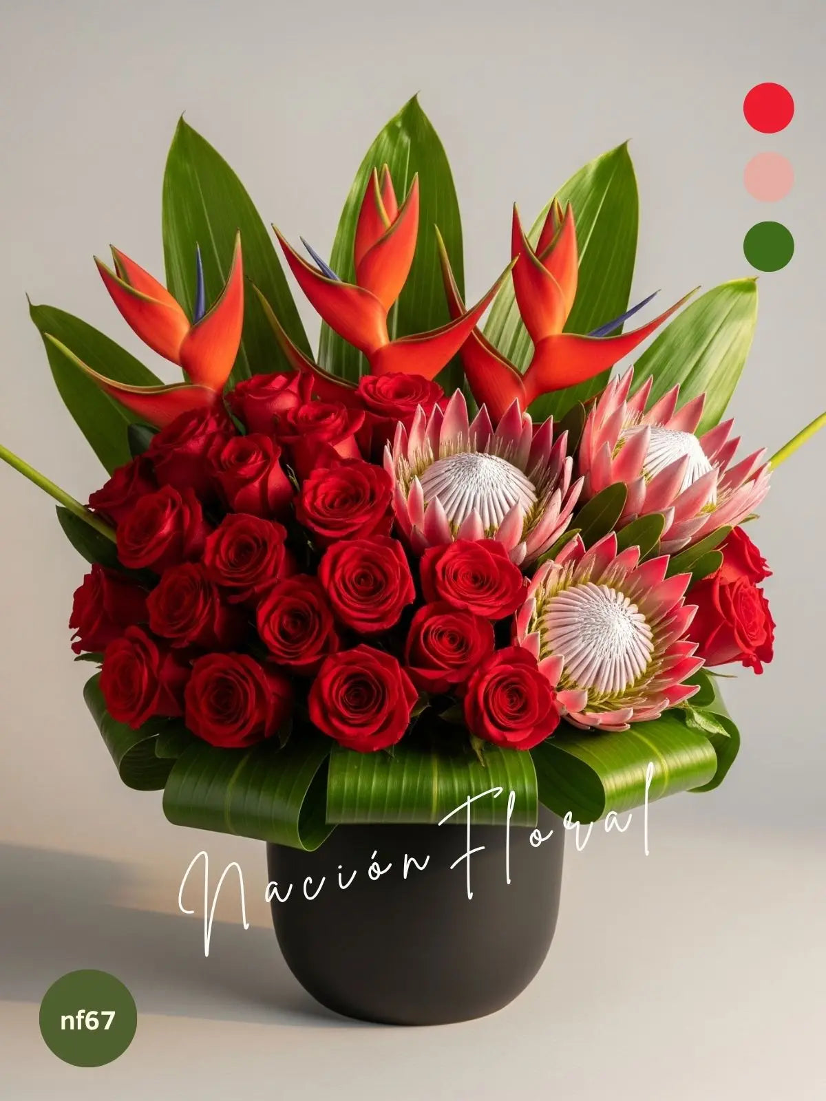 Rosas y Proteas: Pasión Exótica