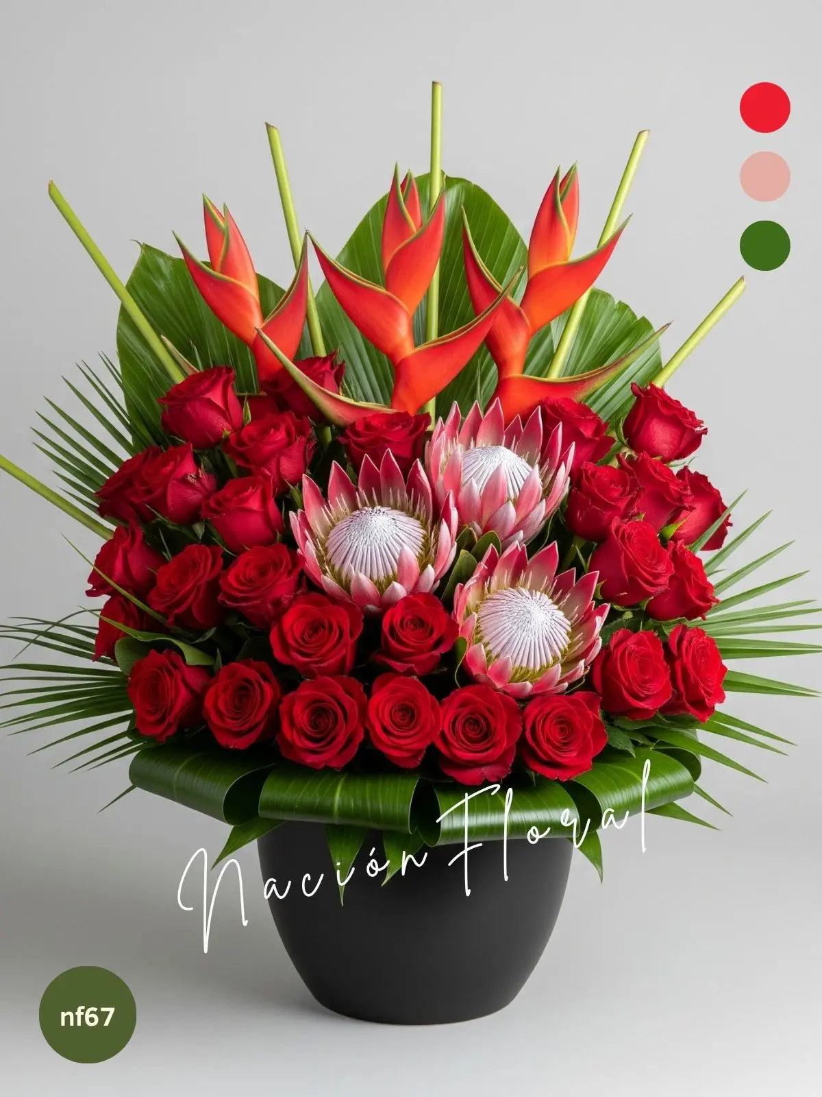 Rosas y Proteas: Pasión Exótica