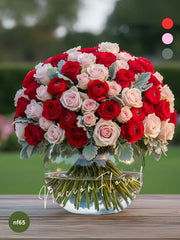 Rosas Rojas y Rosas Rosa: Pasión y Ternura