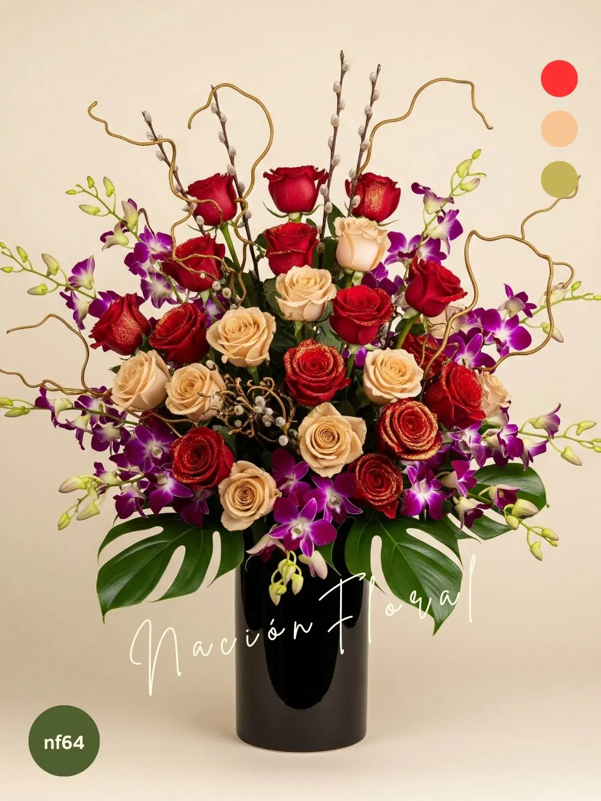 Orquídeas Dendrobium: Lujo y Pasión