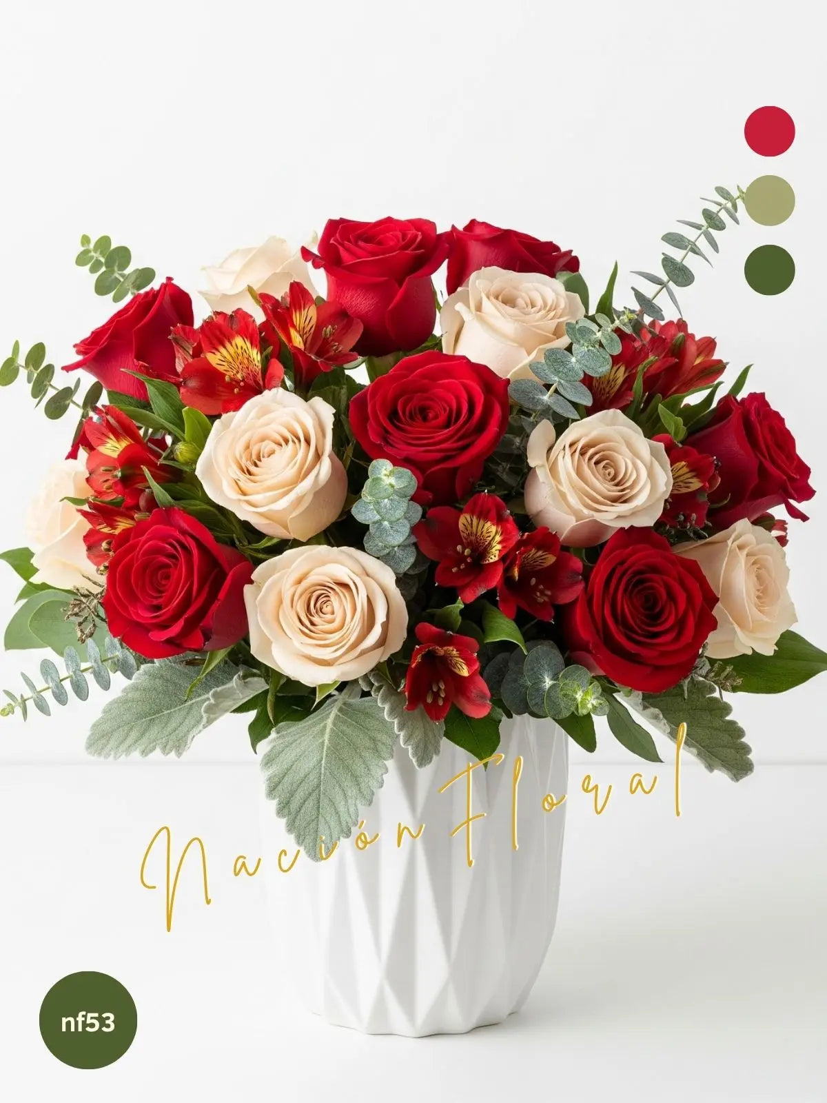 La Rosa Bayleys y Roja: Fuego y Ternura